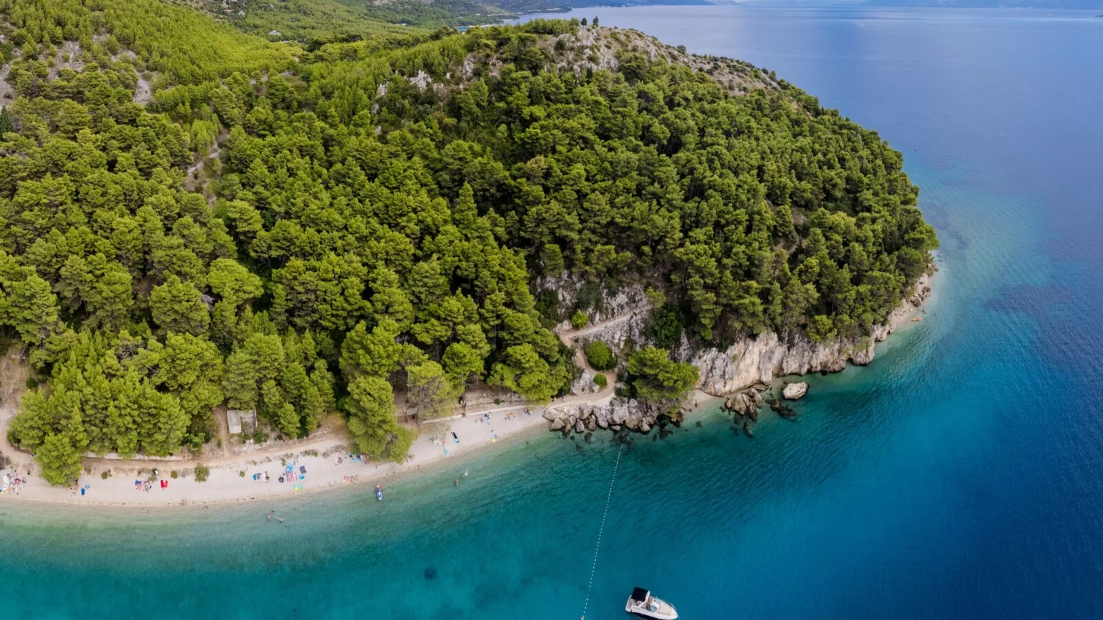 plaza-velika-duba-zivogosce-apartmani-jovic