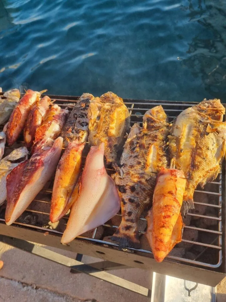 riba-gradela-apartmani-jovic