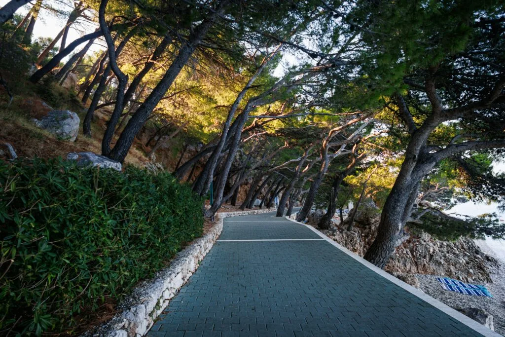 setnica-brela-suma-apartmani-jovic