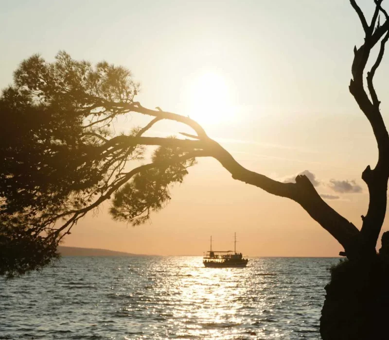 Apartman jovic zalazak sunca brela